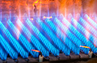 Trehemborne gas fired boilers